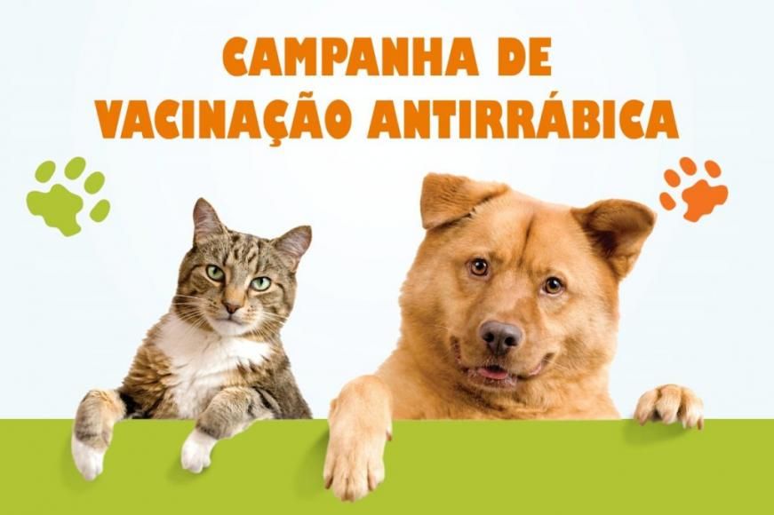 Campanha de vacinação antirrábica e de identificação eletrónica 2025