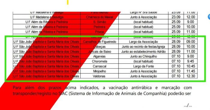 Campanha de Vacina&ccedil;&atilde;o Antirr&aacute;bica
